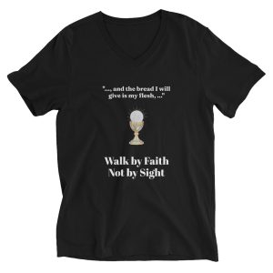 Unisex Short Sleeve V-Neck T-Shirt